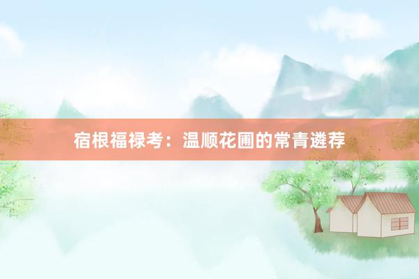 宿根福禄考：温顺花圃的常青遴荐