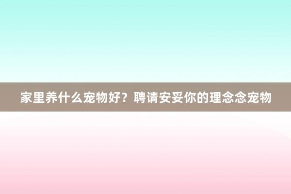家里养什么宠物好？聘请安妥你的理念念宠物