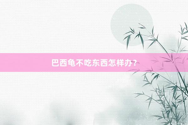 巴西龟不吃东西怎样办?