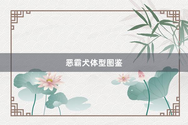 恶霸犬体型图鉴