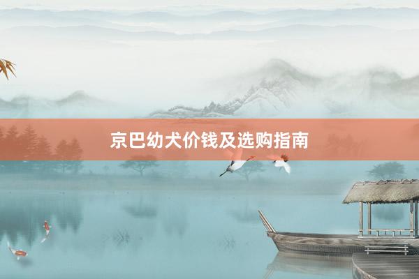 京巴幼犬价钱及选购指南