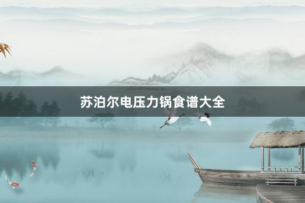 苏泊尔电压力锅食谱大全